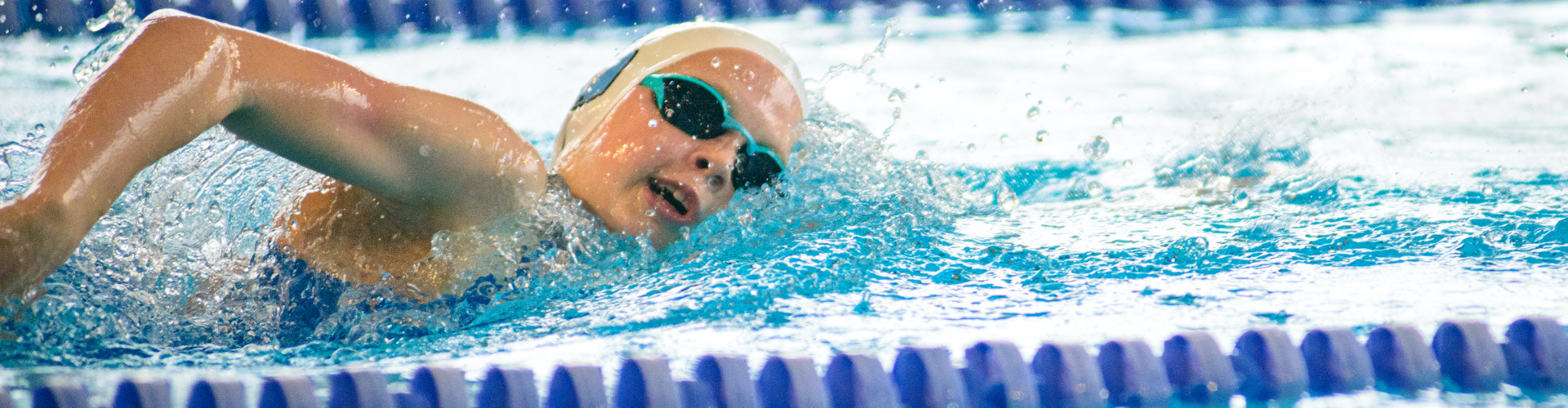 Sea Turtles Swim Team